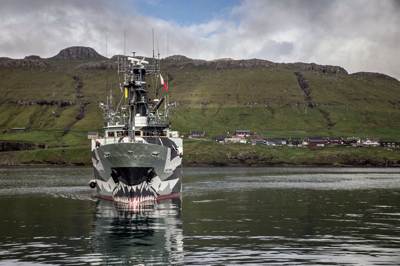 Sea Shepherd’s boat, the Sam Simon, in the Faroe Islands, June 2015. Photo credit: Iraultza Izquierdo / Sea Shepherd Global